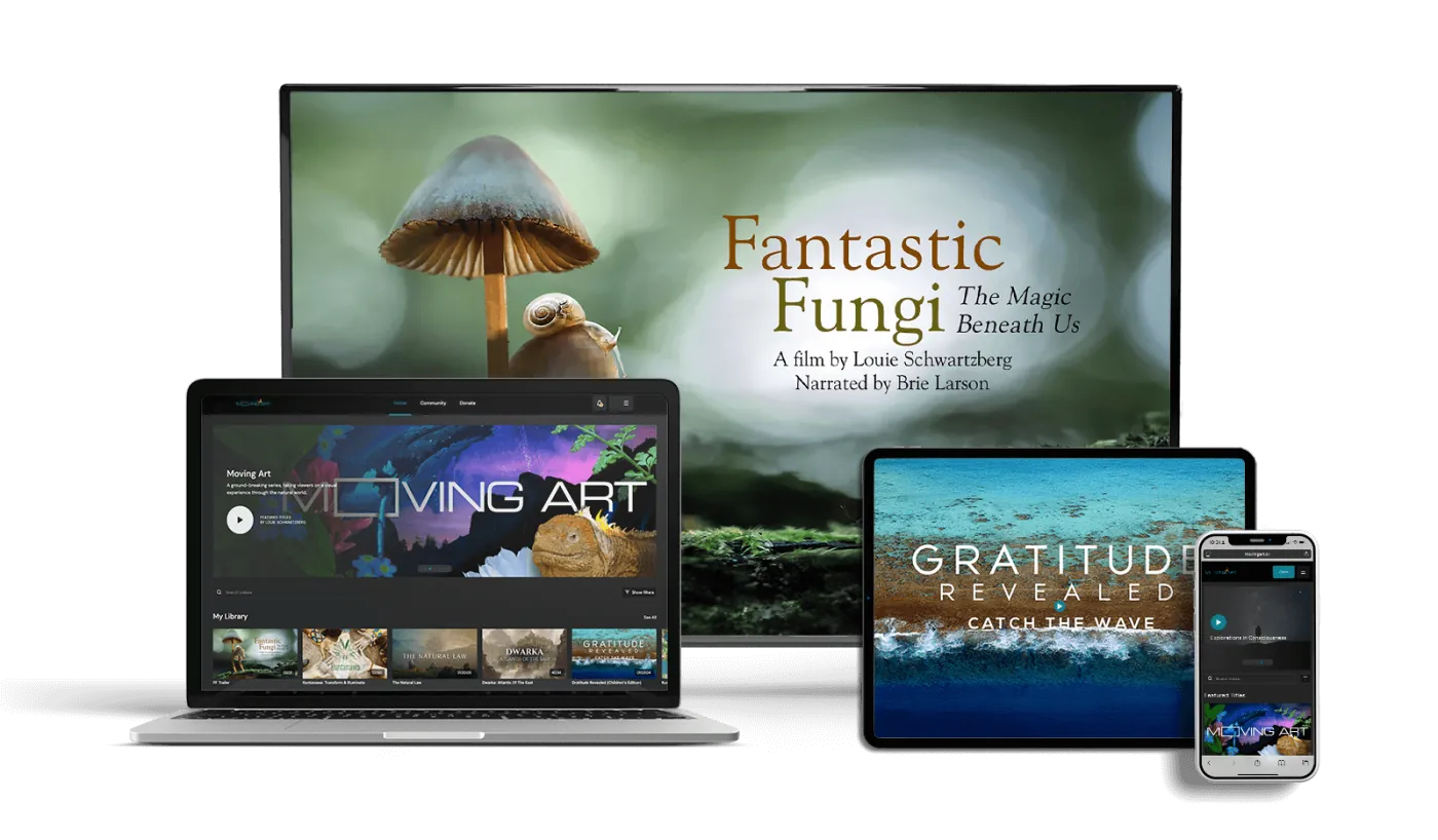 Moving Art on multiple devices